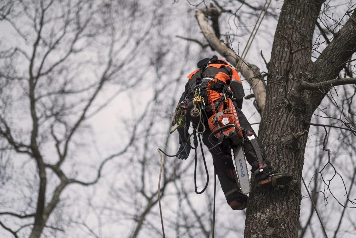 Husqvarna 572xp Kettingzaag - 45cm 5.9pk - Afbeelding 16