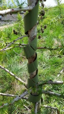 Boombeschermers Spiraal 60cm (100x)