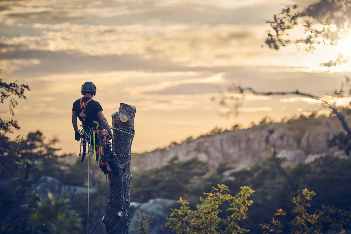 Husqvarna T540xp Mark Iii Klimzaag 35cm - Afbeelding 8